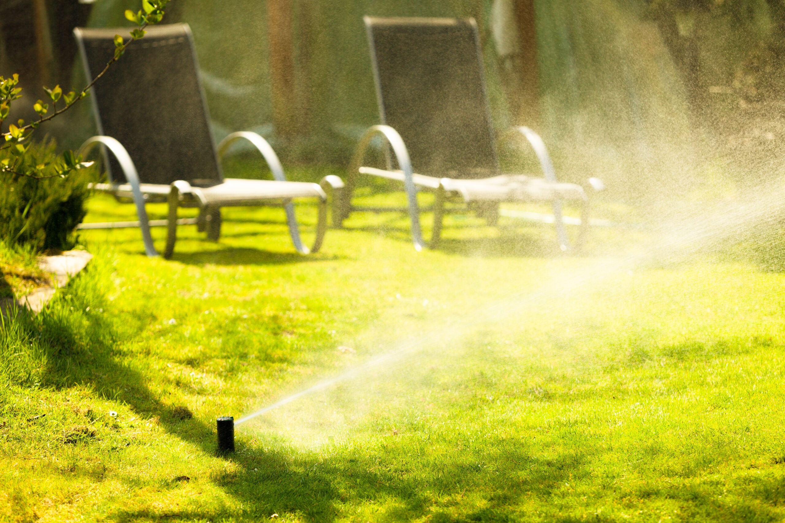 Lawn sprinkler spraying water over green grass